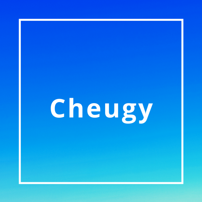 Cheguy Cheugy: a nova palabra de moda que confirma que os millennials xa non ...