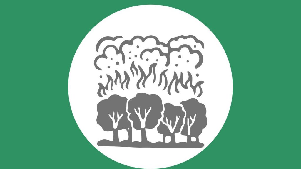incendios forestais