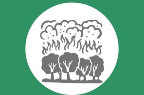 Unha lista de lecturas repousadas para entender a vaga de incendios forestais