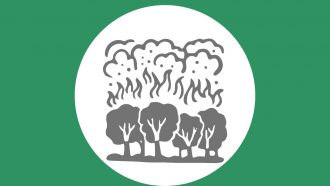 incendios forestais