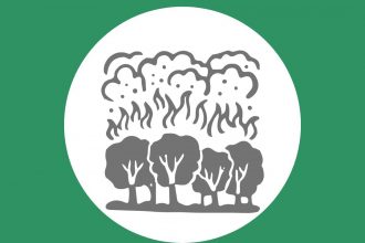incendios forestais